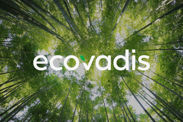 Ecovadis : médailles d’argent & progression pour Selha Group